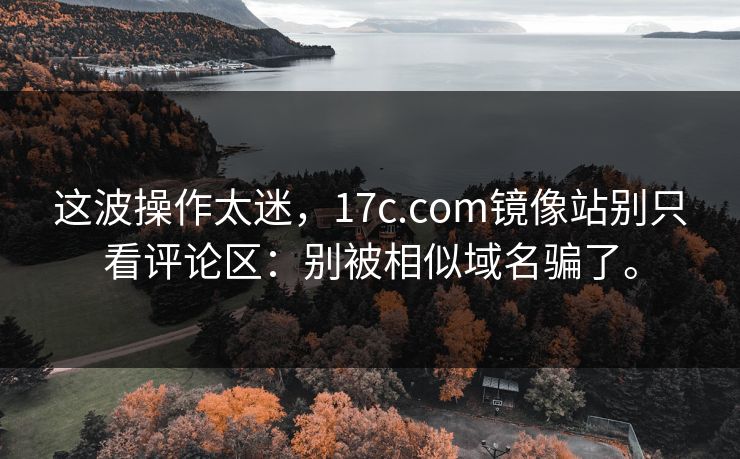 这波操作太迷，17c.com镜像站别只看评论区：别被相似域名骗了。