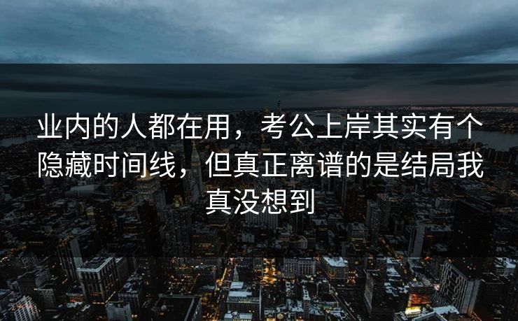 业内的人都在用，考公上岸其实有个隐藏时间线，但真正离谱的是结局我真没想到