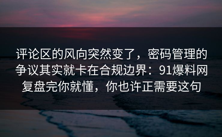 评论区的风向突然变了，密码管理的争议其实就卡在合规边界：91爆料网复盘完你就懂，你也许正需要这句
