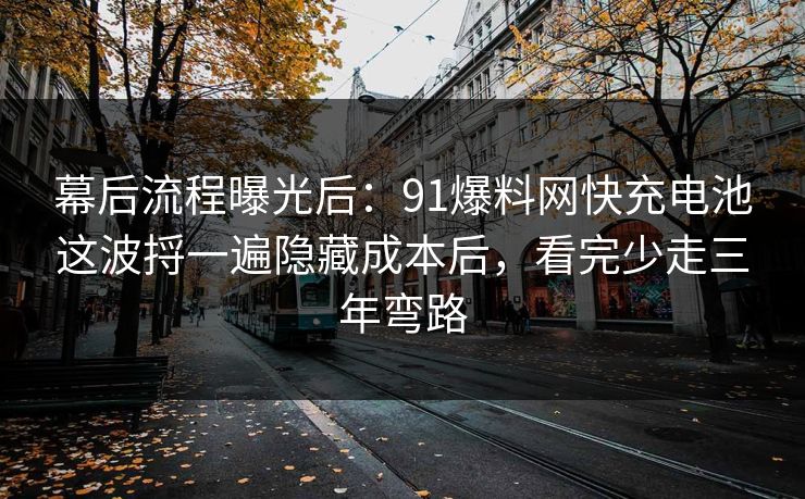 幕后流程曝光后：91爆料网快充电池这波捋一遍隐藏成本后，看完少走三年弯路