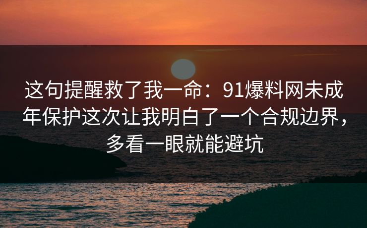 这句提醒救了我一命：91爆料网未成年保护这次让我明白了一个合规边界，多看一眼就能避坑