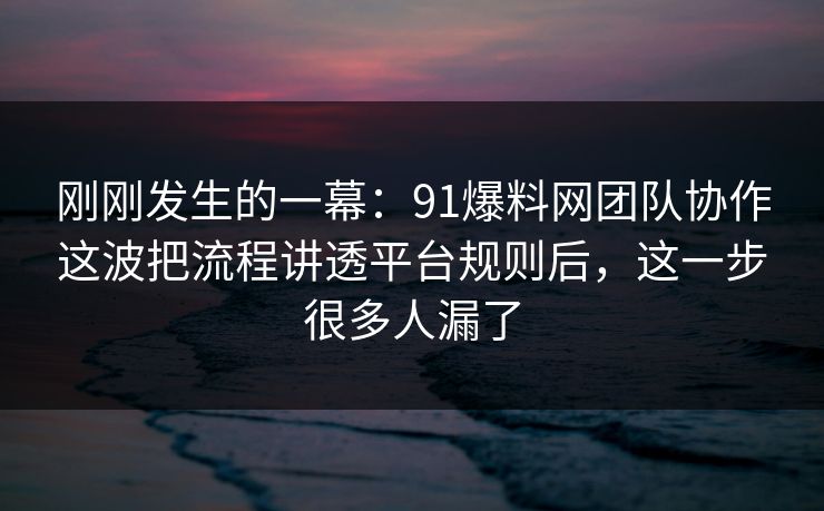 刚刚发生的一幕：91爆料网团队协作这波把流程讲透平台规则后，这一步很多人漏了