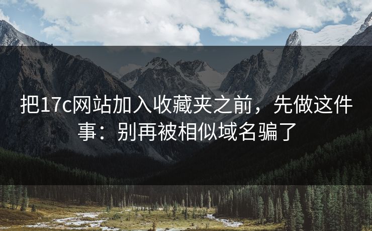 把17c网站加入收藏夹之前，先做这件事：别再被相似域名骗了