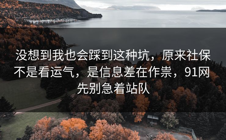 没想到我也会踩到这种坑，原来社保不是看运气，是信息差在作祟，91网 先别急着站队