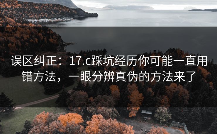 误区纠正：17.c踩坑经历你可能一直用错方法，一眼分辨真伪的方法来了